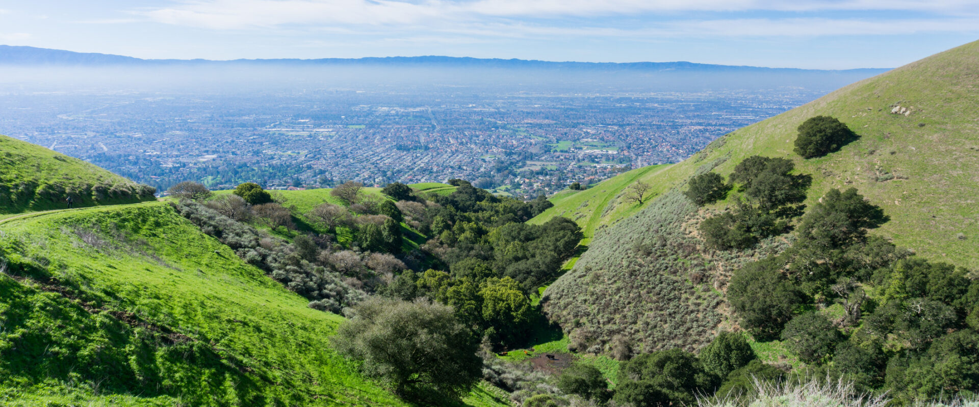 How Much Does Property Management Cost in San Jose? (2026)