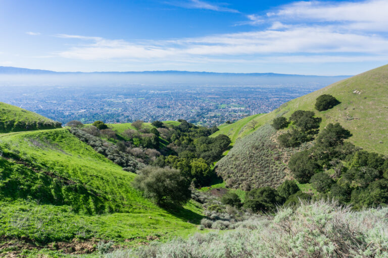 How Much Does Property Management Cost in San Jose? (2026)