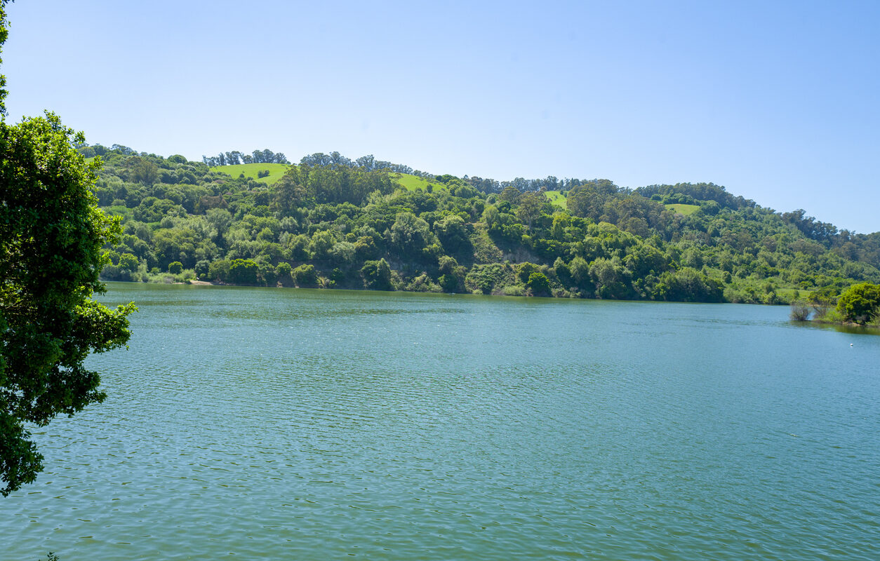 How Much Does Property Management Cost in San Leandro? (2026)