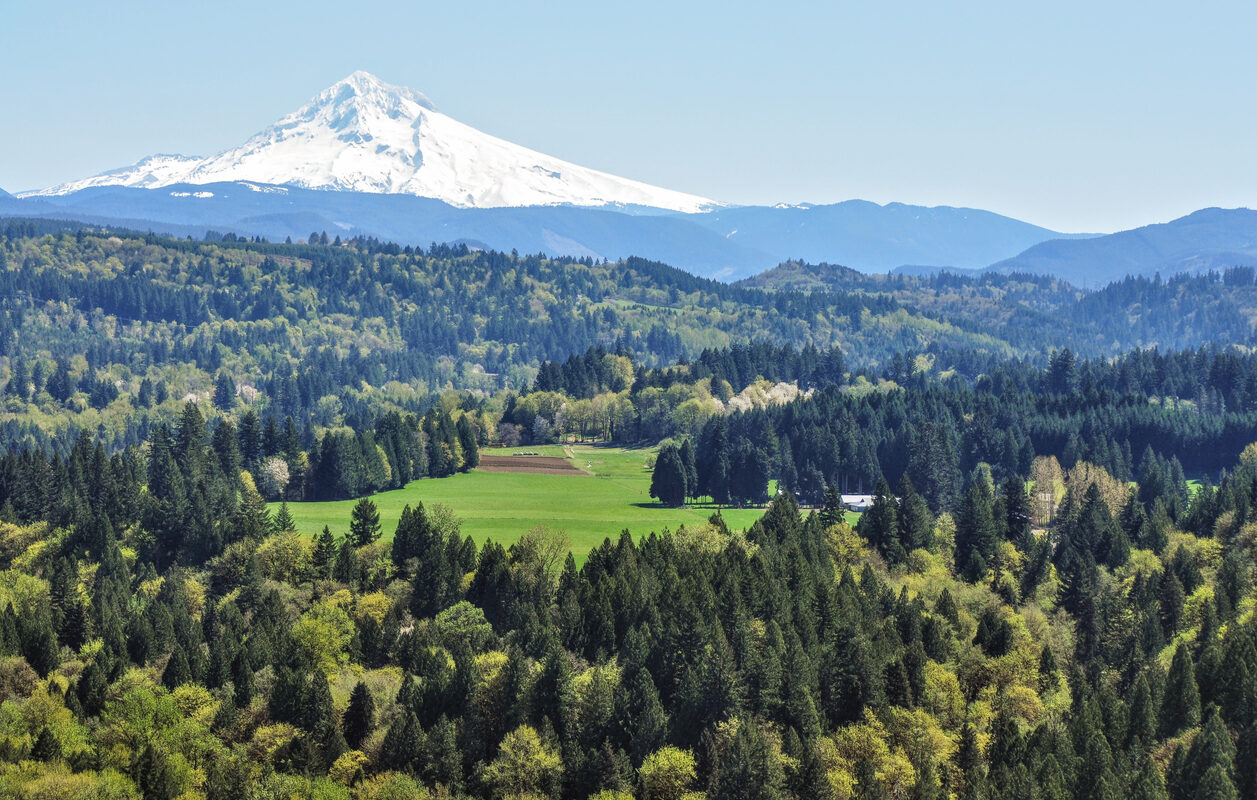 How Much Does Property Management Cost in Gresham? (2026)