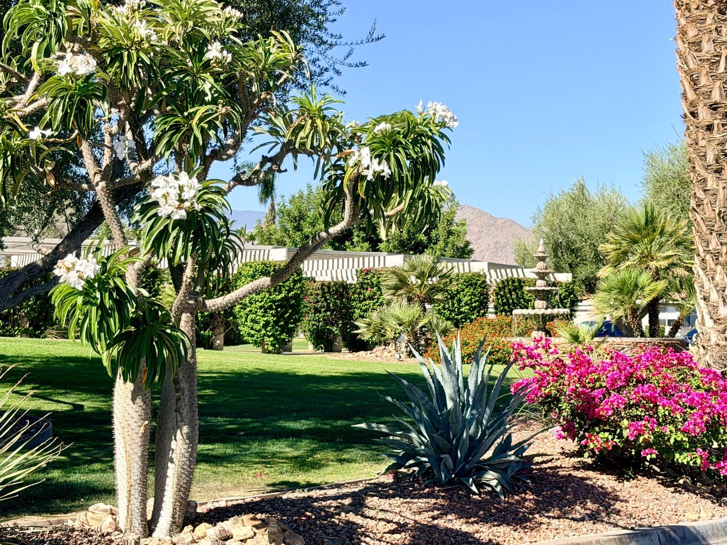 44380 E Sundown Crest Dr - La Quinta - California - 2 bed, 2 bath rental property