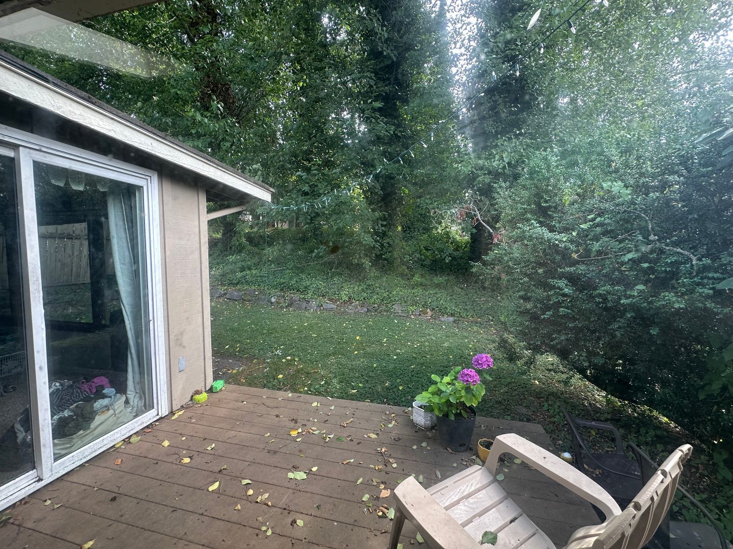 3025 Wilson Ave Aly - Bellingham - Washington - 4 bed, 2 bath rental property