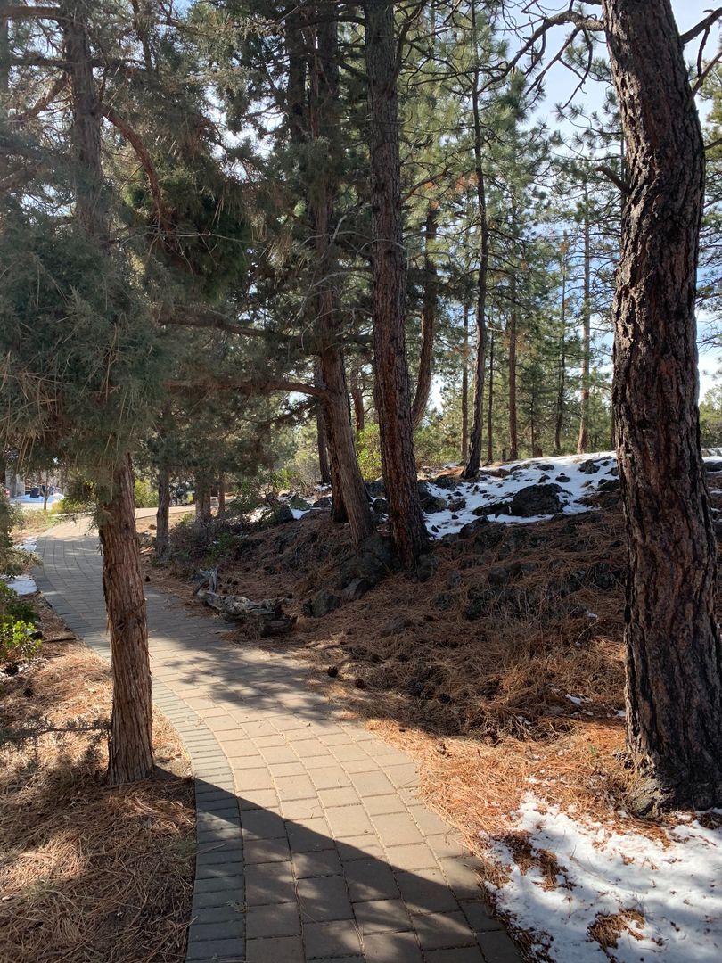 61166 Snowbrush Dr - Bend - Oregon - 3 bed, 2.5 bath rental property