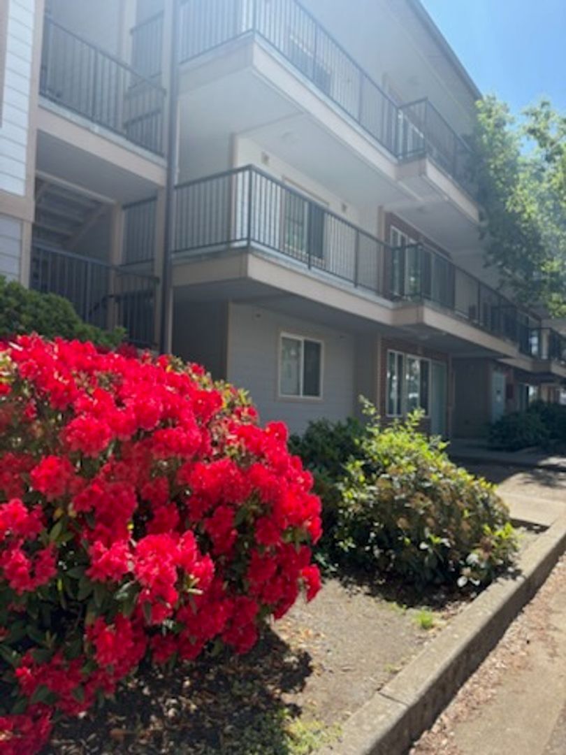 4018 Northwest Avenue - Bellingham - Washington - 1 bath rental property