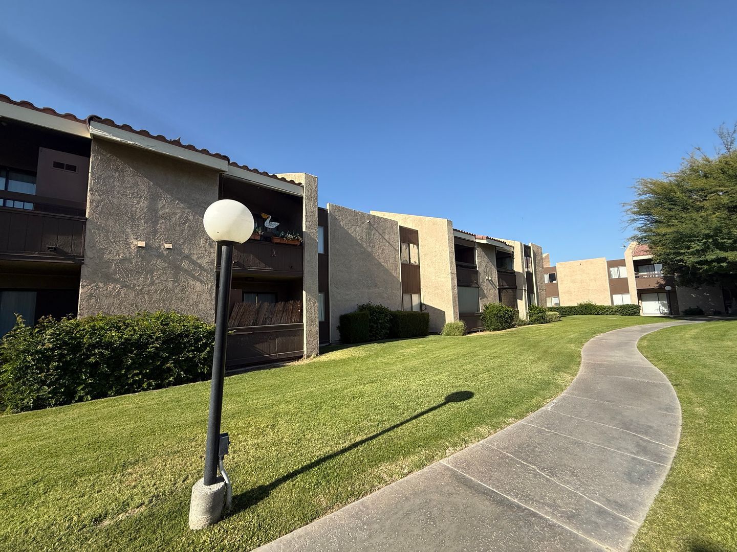 81351 Fred Waring Drive - Indio - California - 2 bed, 1 bath rental property