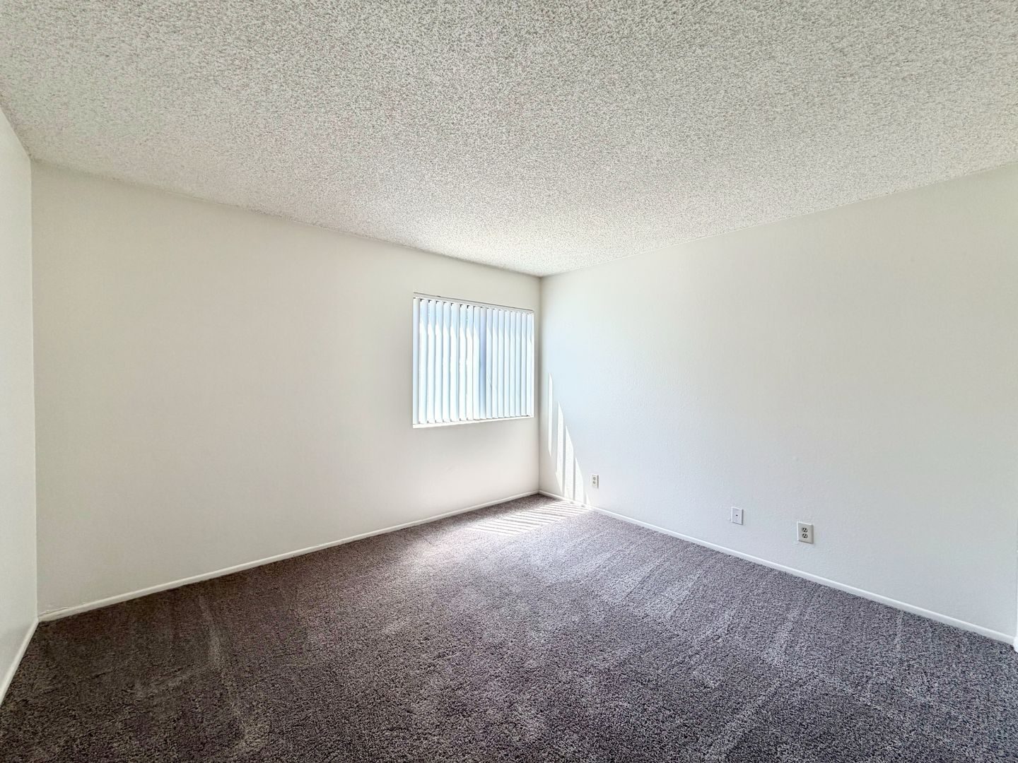 81351 Fred Waring Drive - Indio - California - 2 bed, 1 bath rental property