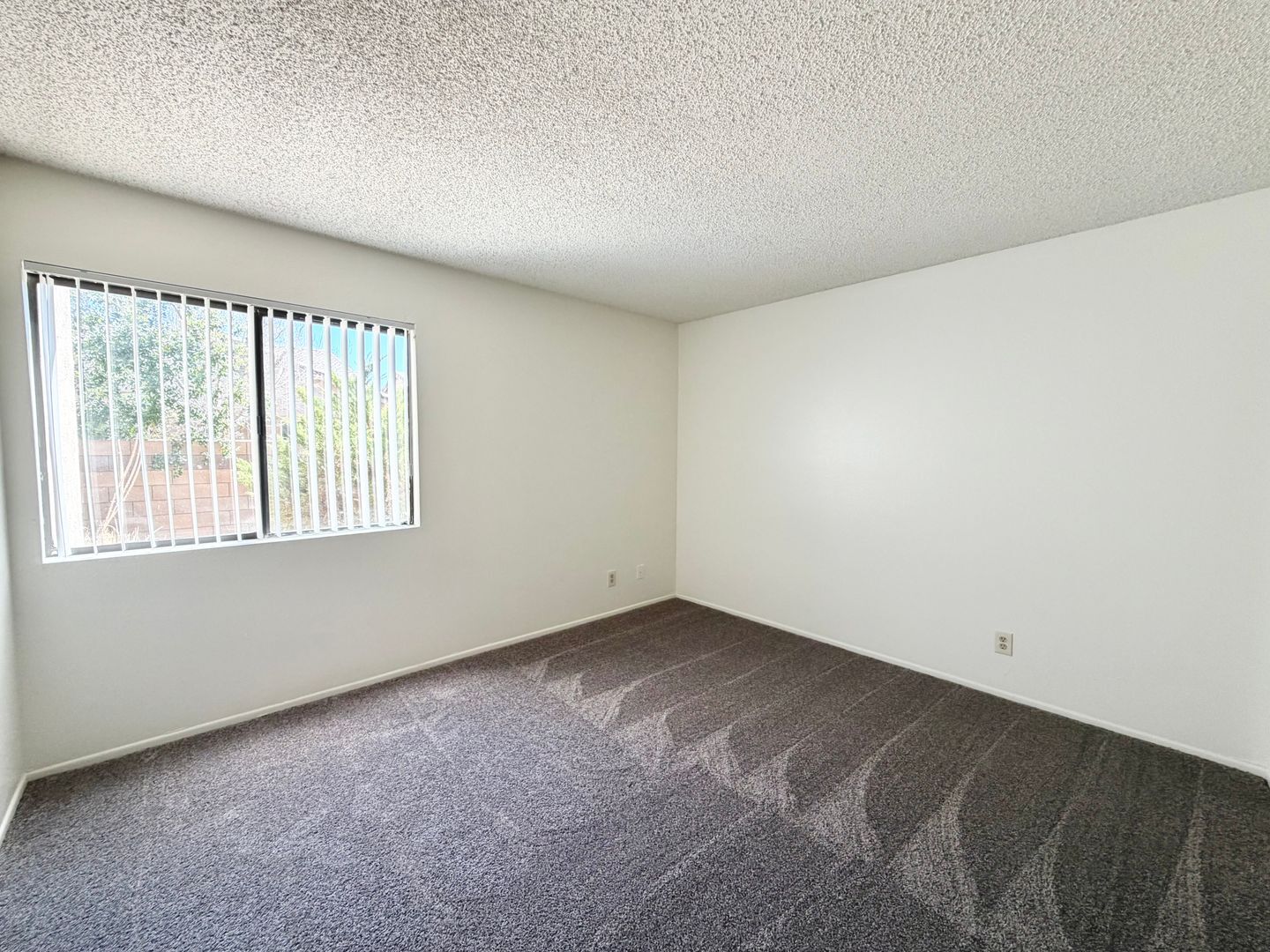 81351 Fred Waring Drive - Indio - California - 2 bed, 1 bath rental property