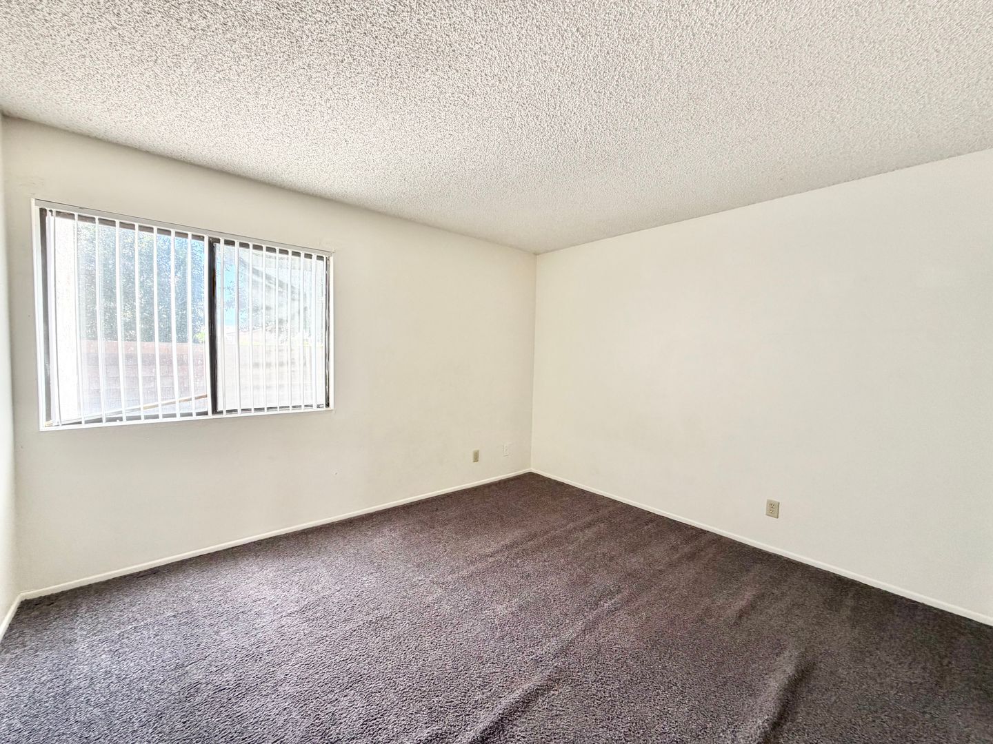 81351 Fred Waring Drive - Indio - California - 2 bed, 1 bath rental property