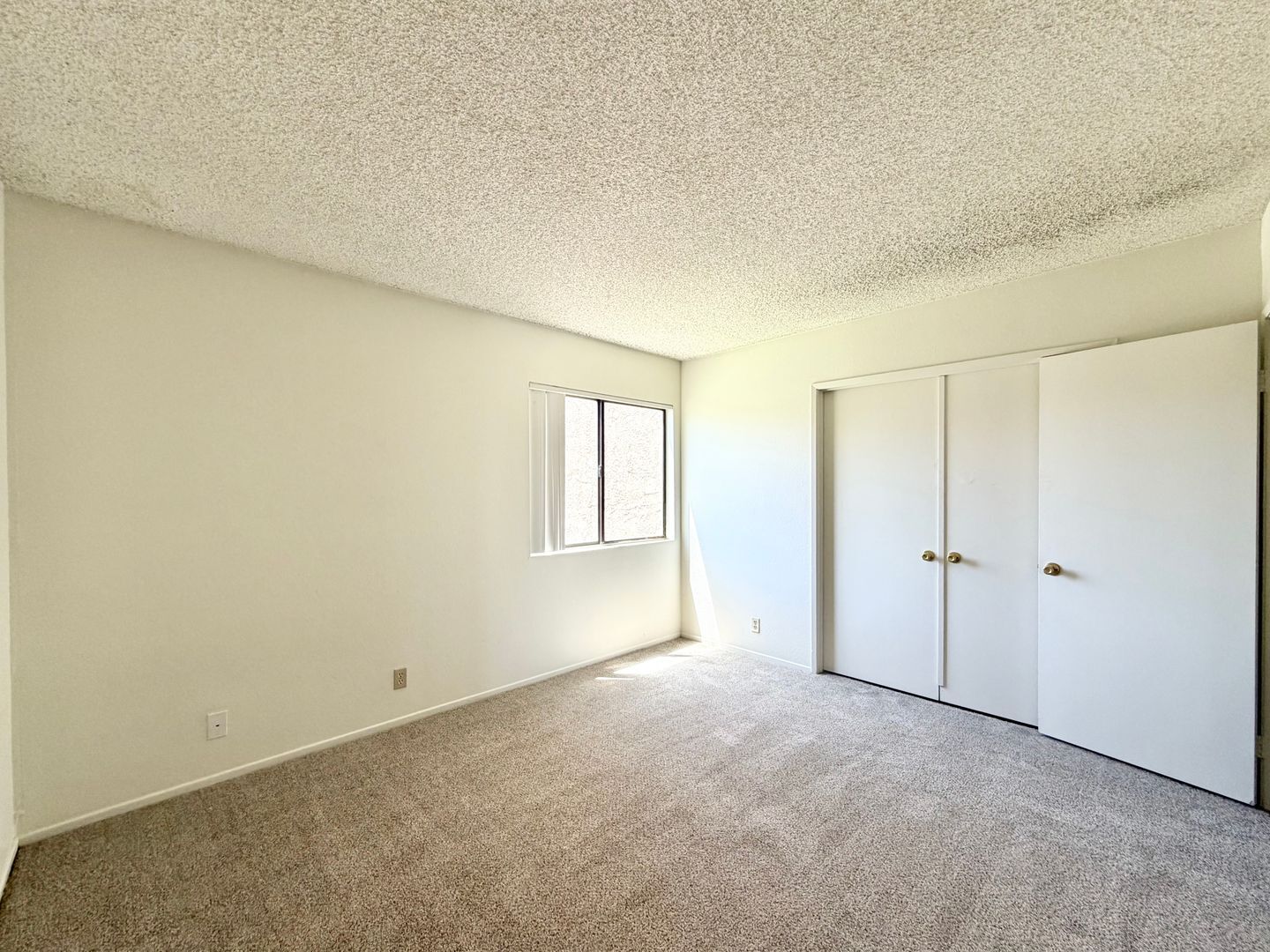 81351 Fred Waring Drive - Indio - California - 2 bed, 1 bath rental property