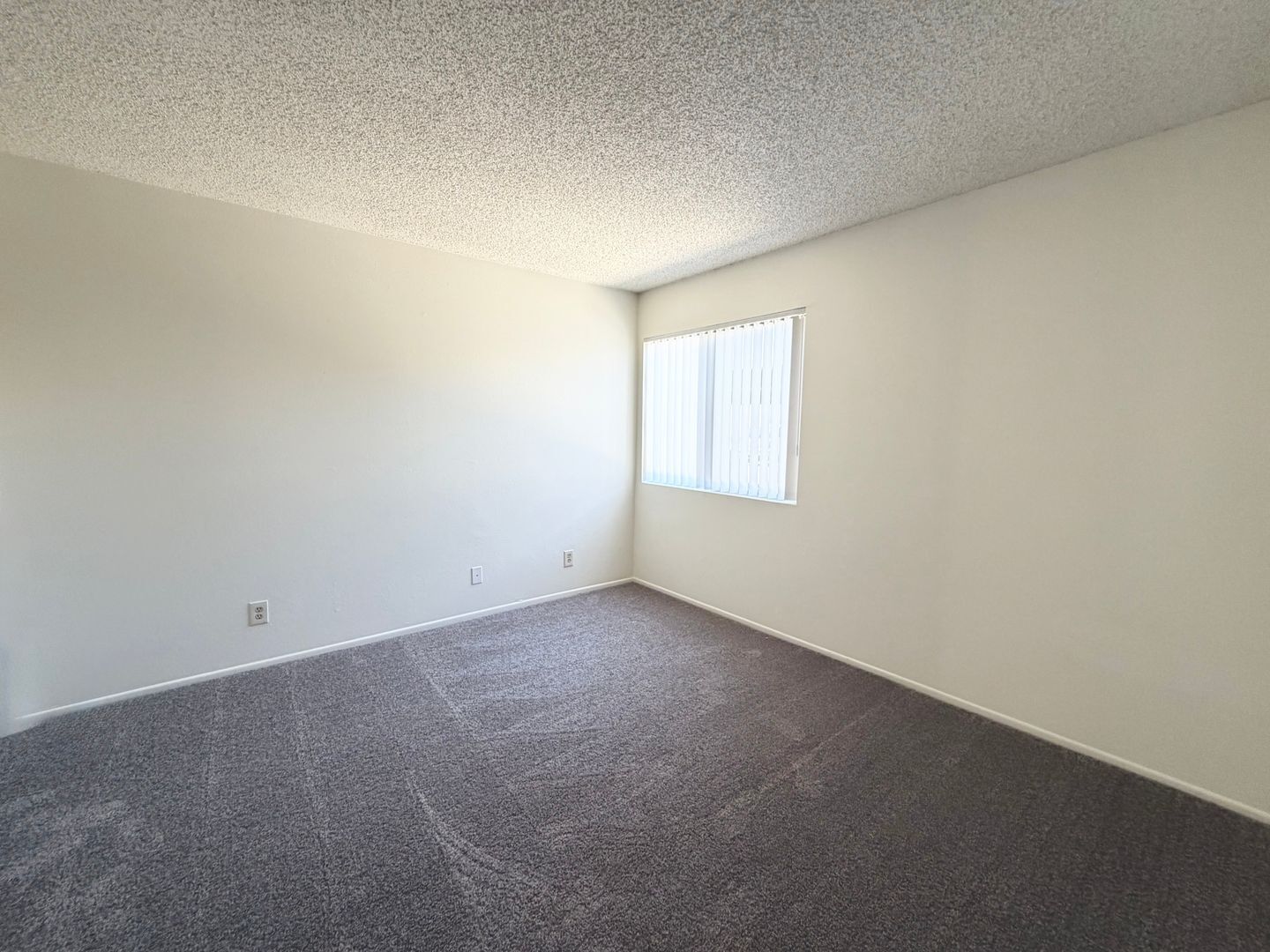 81351 Fred Waring Drive - Indio - California - 2 bed, 1 bath rental property