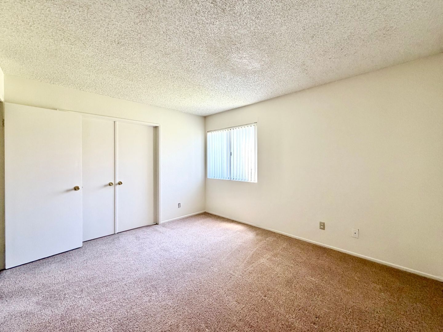 81351 Fred Waring Drive - Indio - California - 2 bed, 1 bath rental property