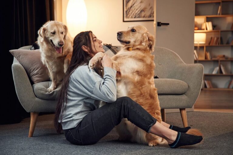 Nevada Pet Laws: How to Handle Unauthorized Pets (2026)