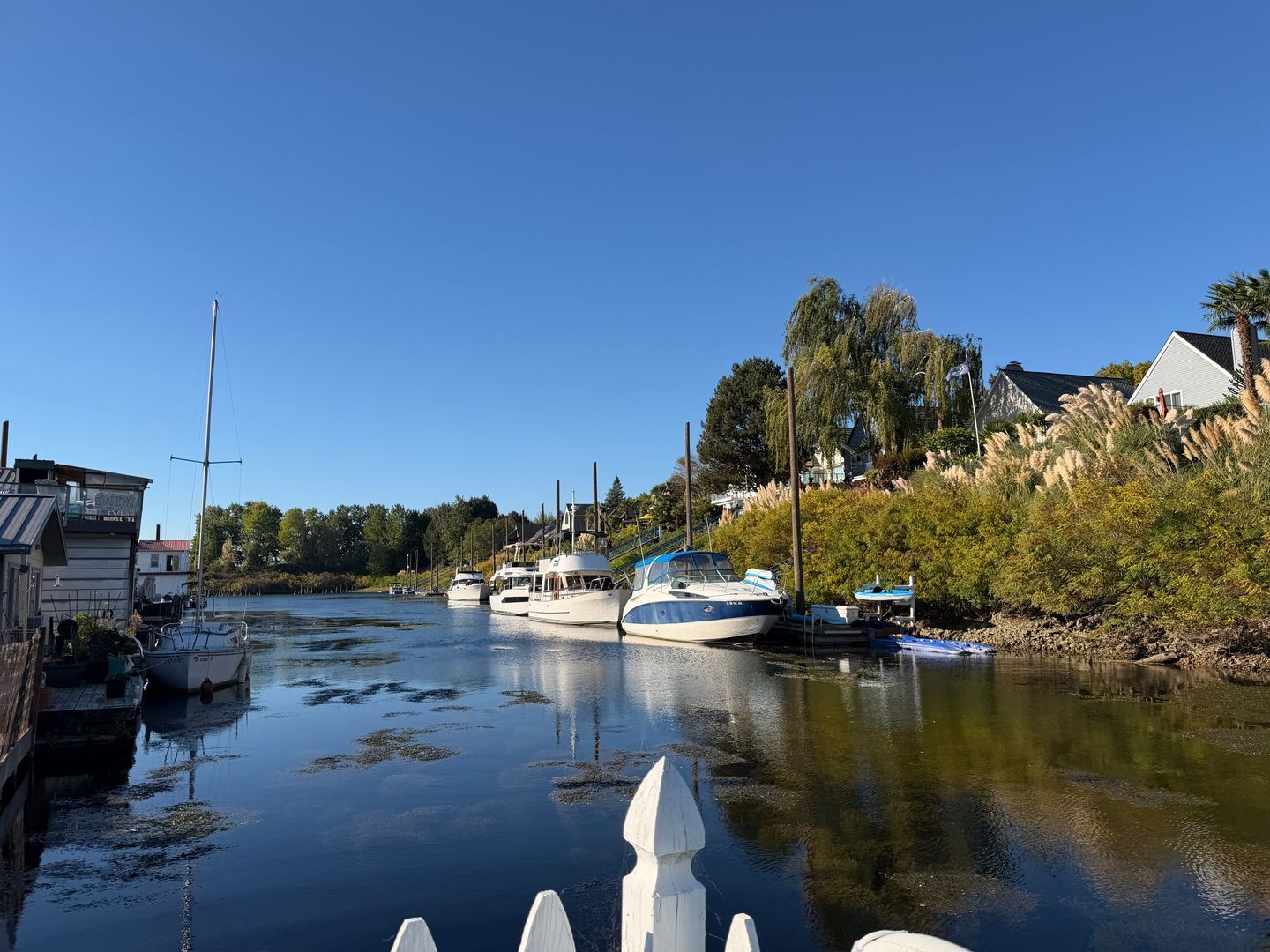 444 N Tomahawk Island Dr - Portland - Oregon - 2 bed, 1 bath rental property