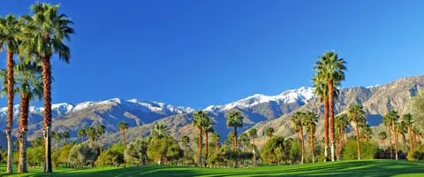 Palm Springs