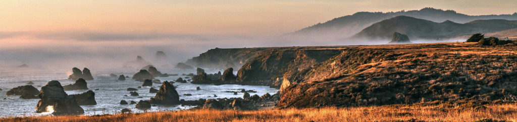 Bodega Bay, CA