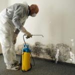 San Diego Property Management – Is A Landlord Liable for Mold in A Rental? (2026 Guide)