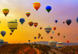 Should you landscape your Temecula rental property?