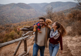 How to get more ROI from your apartments for rent