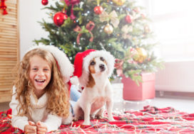 Reasons why you should allow pets at your rental property