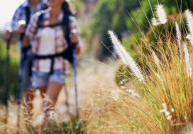 What’s It Like Living in San Jose, CA? 