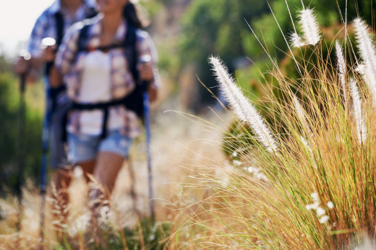 What’s It Like Living in San Jose, CA? 