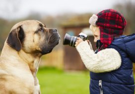 Photography Tips for Improving the Quality of Your Rental Property Listings