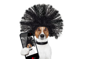 Will Augmented Reality Change Property Management? The Answer Is Yes! 