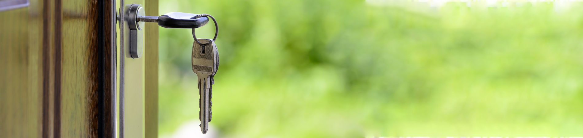 Marketing and Recruitment: Stellar Listings to Property Showings