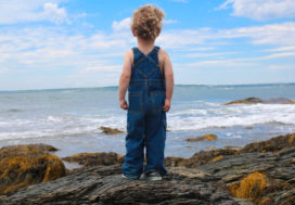 Climate Change Impacts on Coastal Real Estate Value