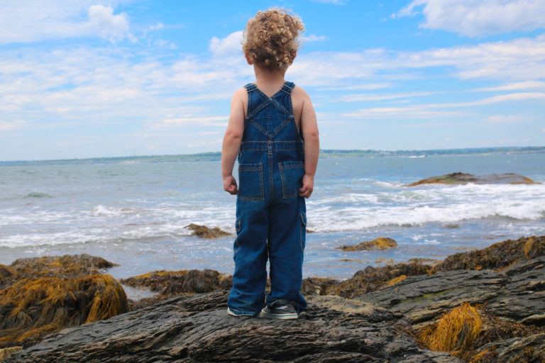 Climate Change Impacts on Coastal Real Estate Value