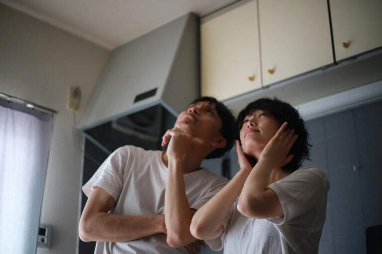 Peace and Quiet: Preventing and Managing Noise Pollution