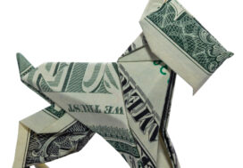 California Pet Laws: How to Handle Unauthorized Pets