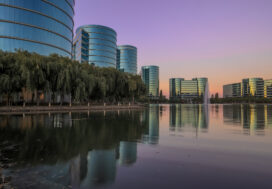 Redwood City’s Best Bites