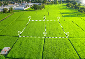 5 Considerations for Buying Raw Land