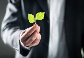 Shifting Rental Trends Have Big Impact on Carbon Footprints