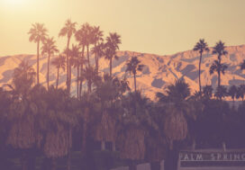 Insider Tips for Investing in Palm Springs