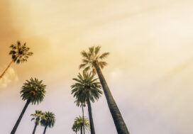 Orange County and San Diego Among Most Competitive Rental Markets in 2023