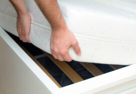 How to Avoid and Get Rid of Bed Bugs in Rental Properties