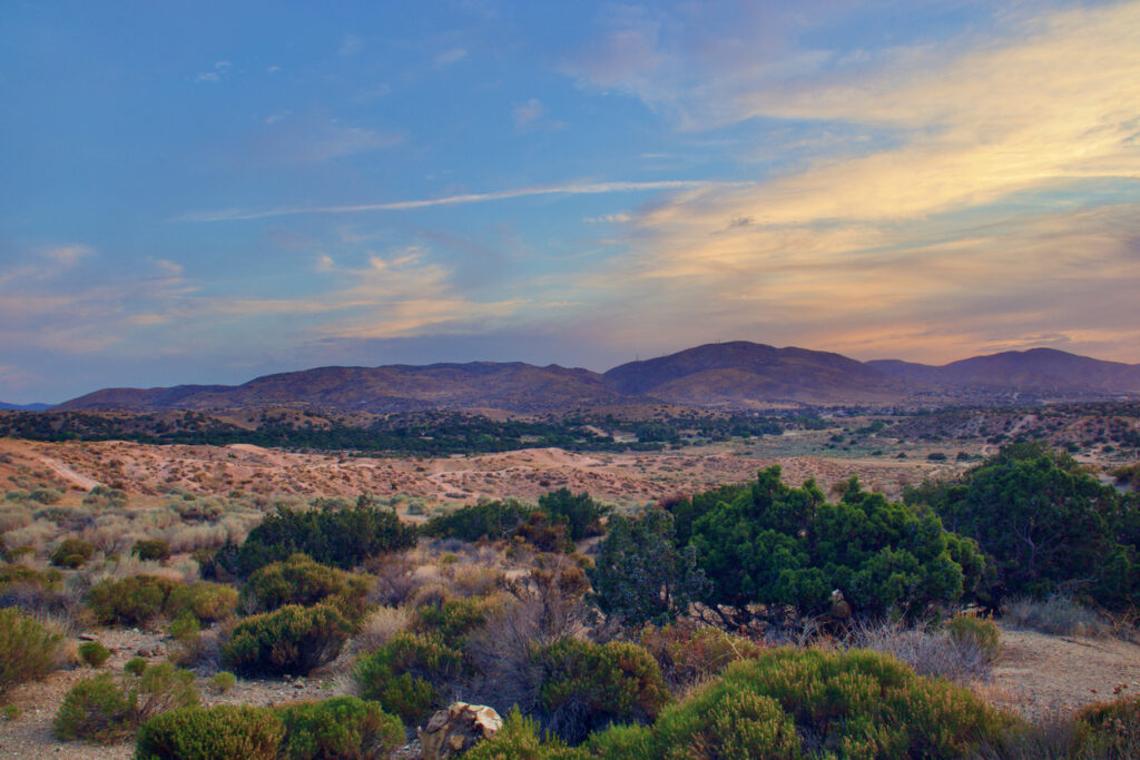 Antelope Valley, CA