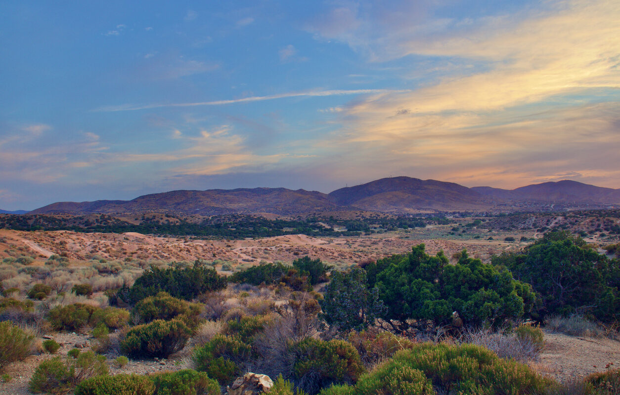 How Much Does Property Management Cost in Antelope Valley? (2026)