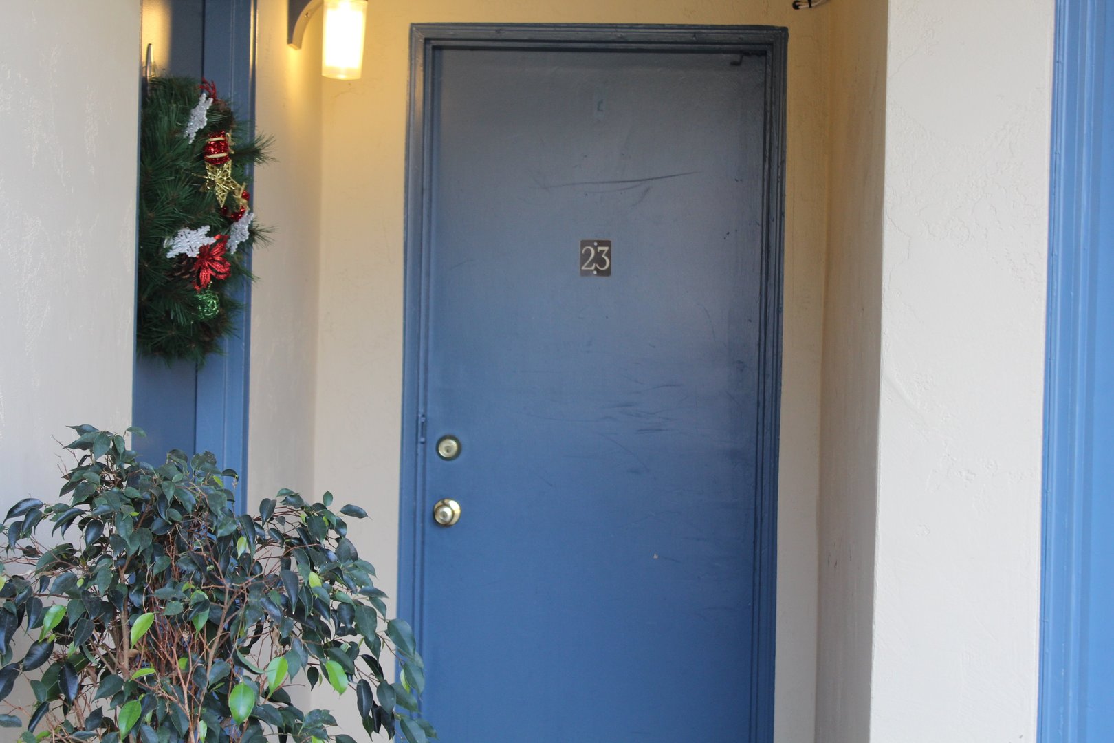 1027 Felspar Street - San Diego - California - 1 bed, 1 bath rental property
