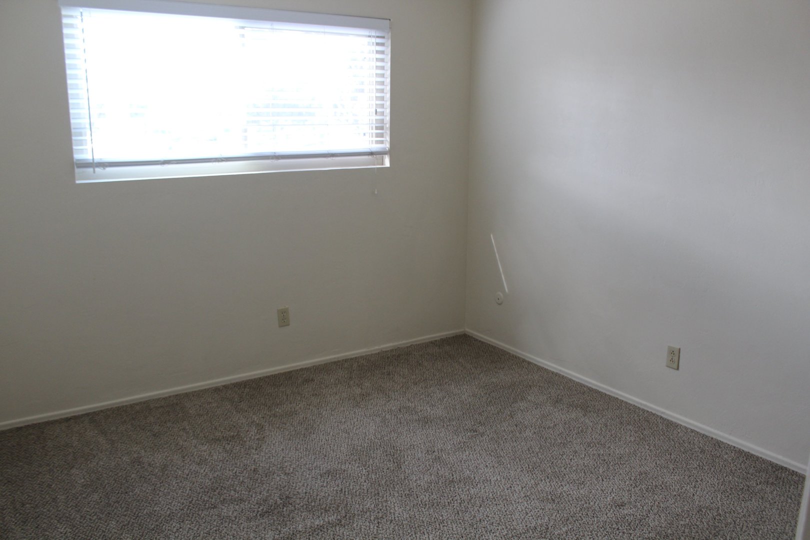 1027 Felspar Street - San Diego - California - 1 bed, 1 bath rental property