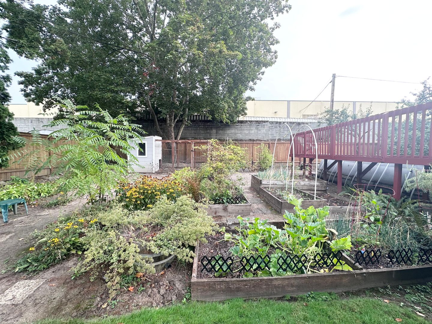 10910 SW 74th Ave.  - Tigard - Oregon - 3 bed, 1 bath rental property