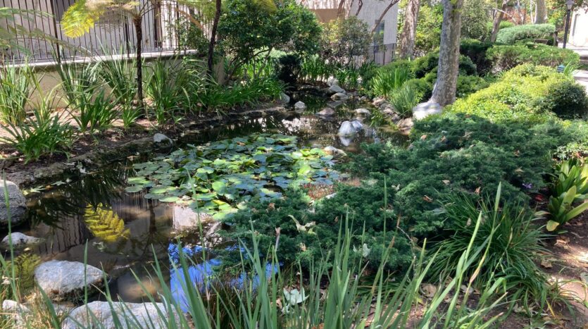 1101 Summertime Lane  - Culver City - California - 2 bed, 2 bath rental property