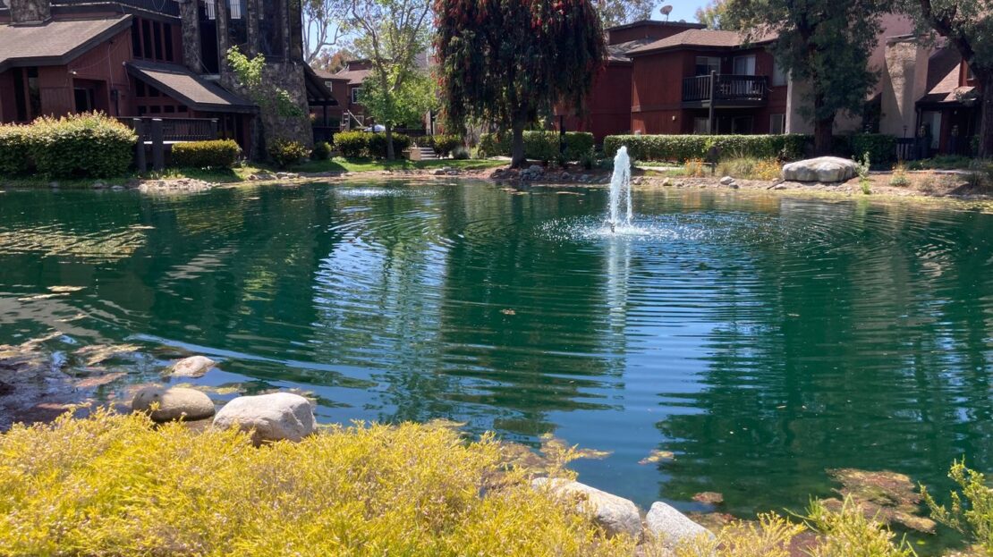 1101 Summertime Lane  - Culver City - California - 2 bed, 2 bath rental property