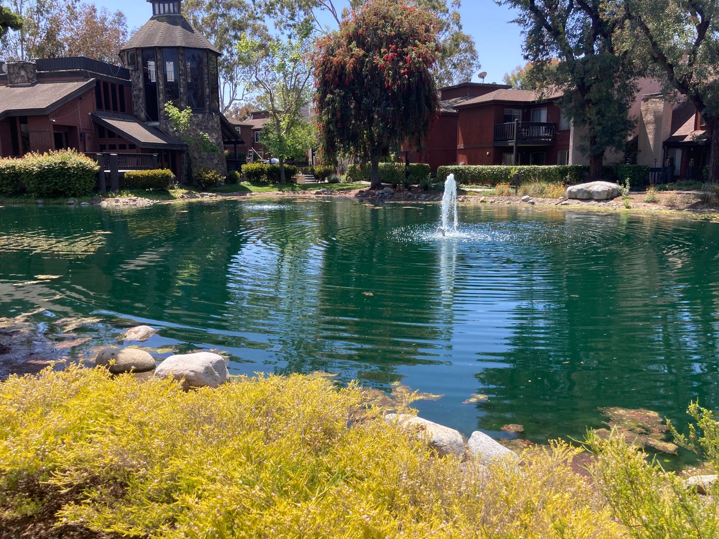 1101 Summertime Lane  - Culver City - California - 2 bed, 2 bath rental property