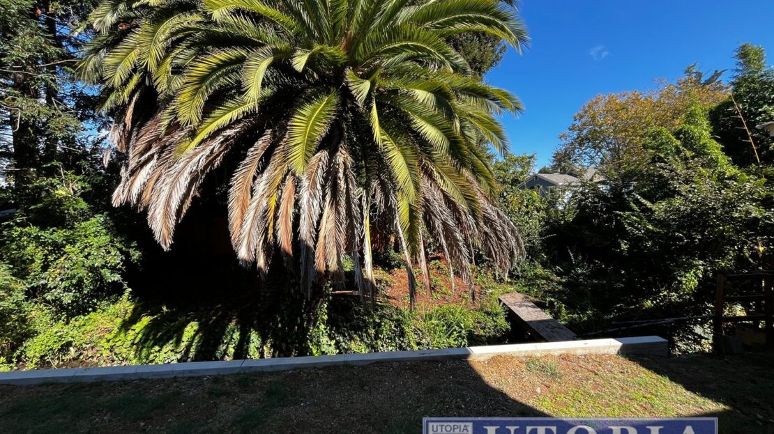 1114 Laurel St. - Santa Cruz - California - 3 bed, 2 bath rental property