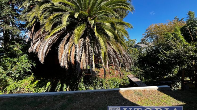 1114 Laurel St. - Santa Cruz - California - 3 bed, 2 bath rental property