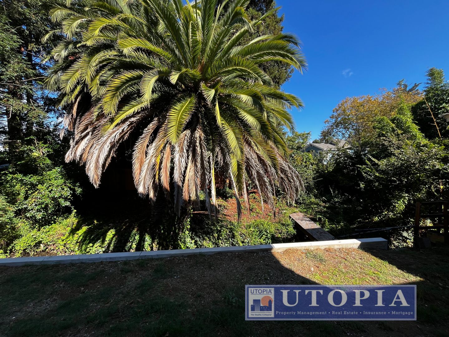 1114 Laurel St. - Santa Cruz - California - 3 bed, 2 bath rental property