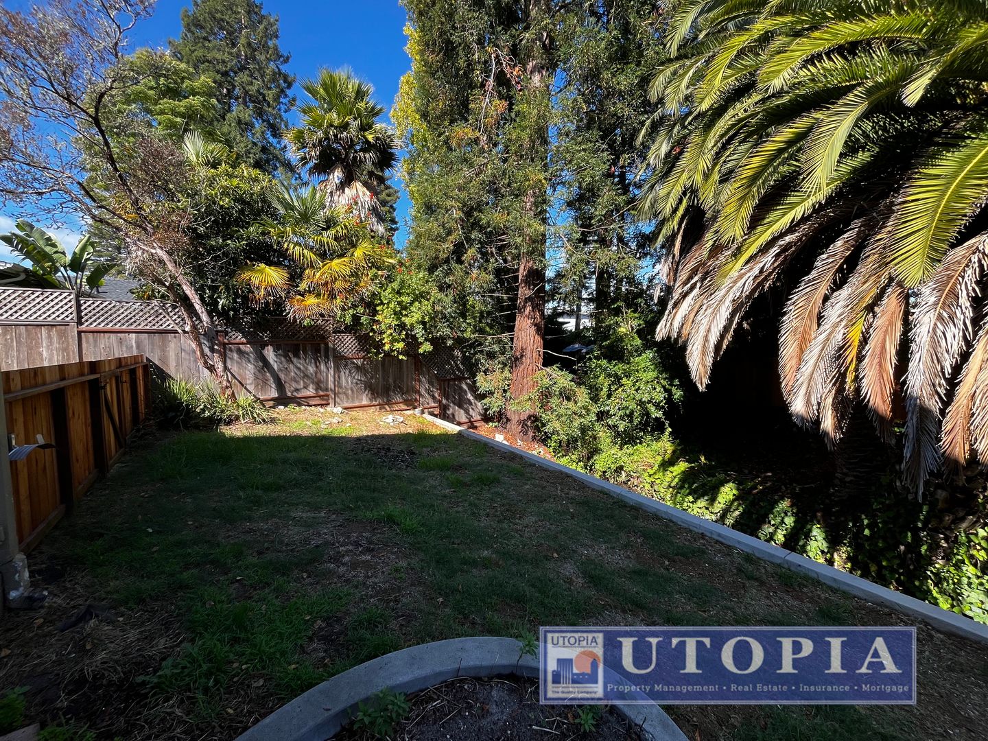 1114 Laurel St. - Santa Cruz - California - 3 bed, 2 bath rental property